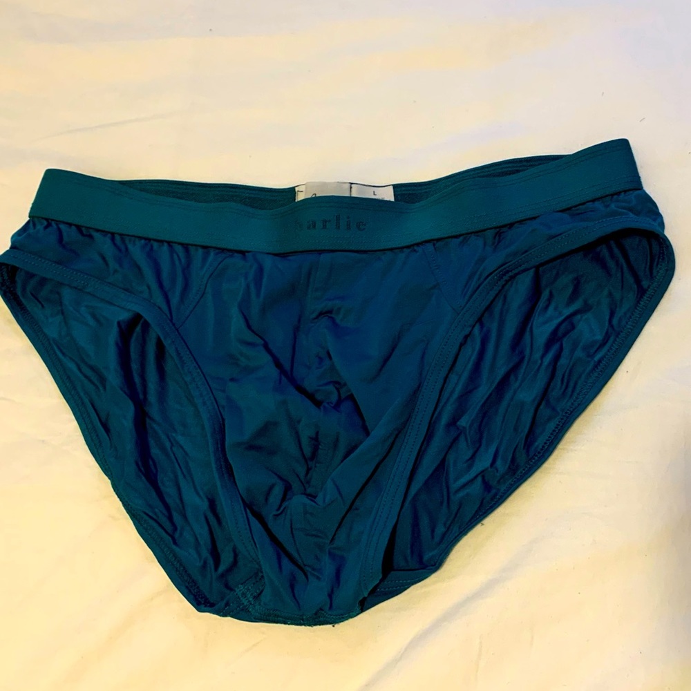Charlie by Matthew Zink turquoise brief